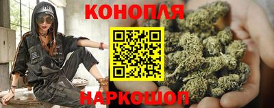 apvp Камышлов