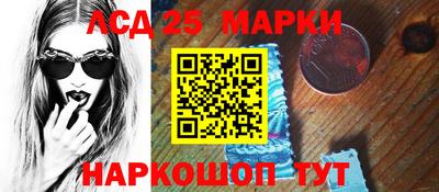 спиды Кингисепп