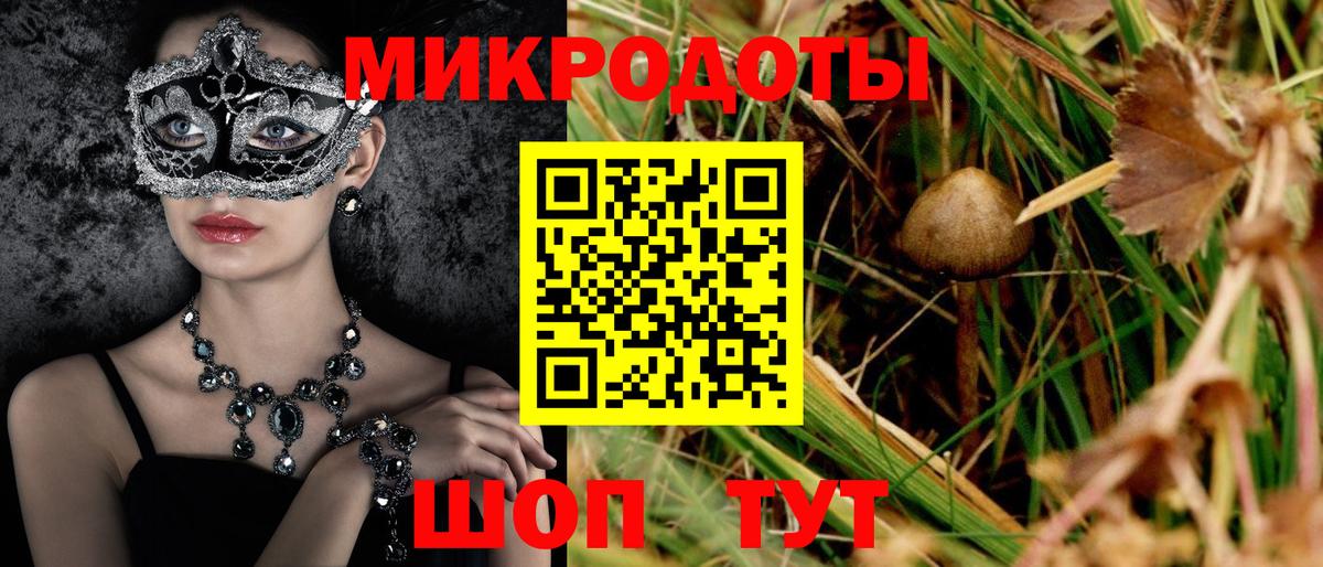 Коммунар  Галлюциногенные грибы Psilocybe  Вход с VPN 