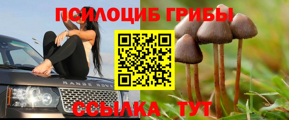 Псилоцибиновые грибы MAGIC MUSHROOMS Коммунар
